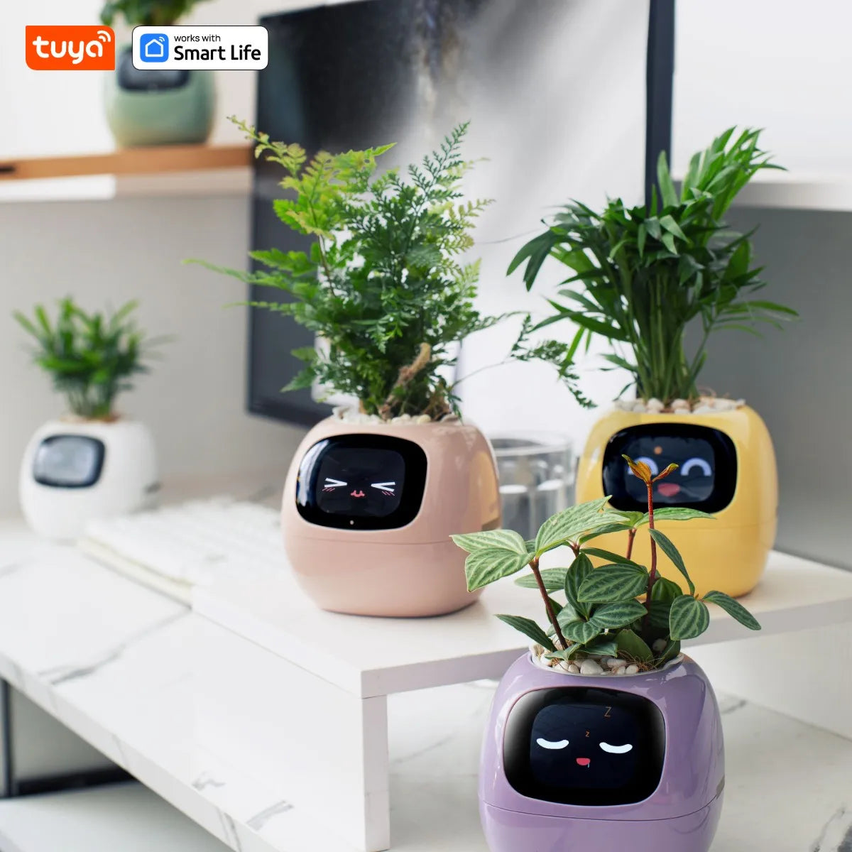 TinyGlow & Co™ Ivy Tuya Smart Planter with AI Technology