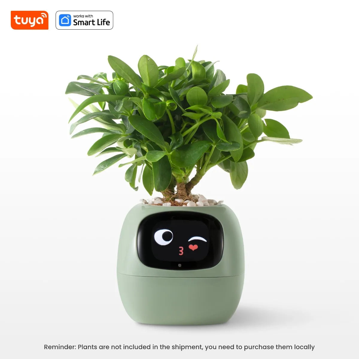 TinyGlow & Co™ Ivy Tuya Smart Planter with AI Technology