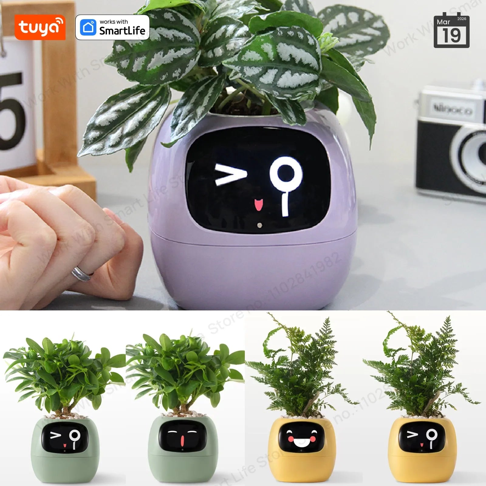 Smart plant pot with digital face display and Tuya SmartLife logo